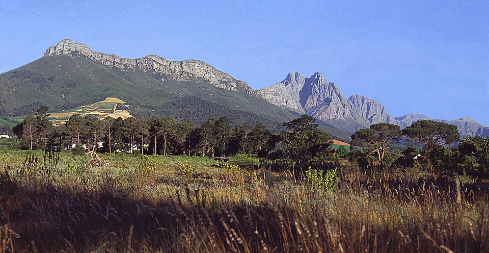 Stellenbosch — custom e-commerce platforms for local businesses