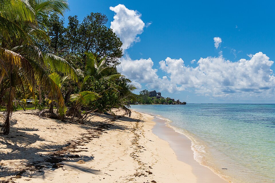 La Digue — online stores for local businesses