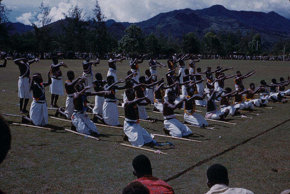 Papua New Guinea — subscription and membership platforms for local businesses