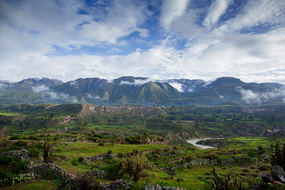 Peru — custom e-commerce platforms for local businesses