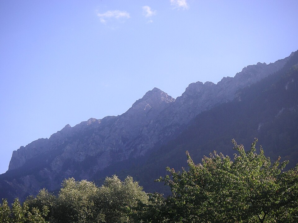 Liechtenstein — local market for B2B and wholesale portals