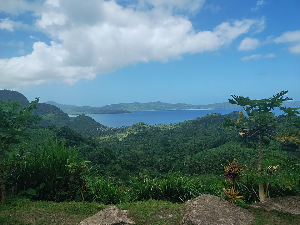 Savusavu — local market for service booking platforms