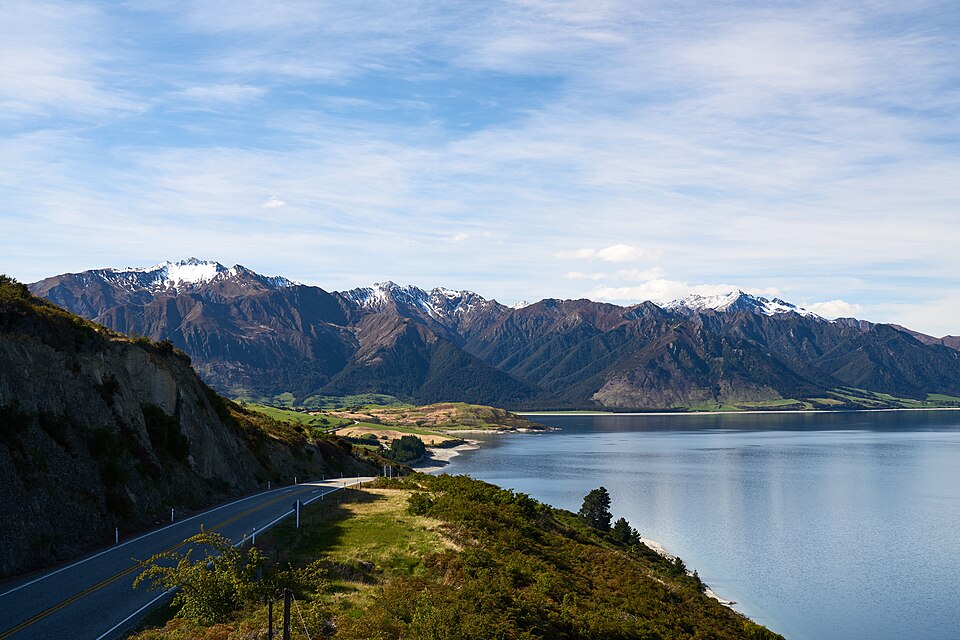 New Zealand — service booking platforms for local businesses