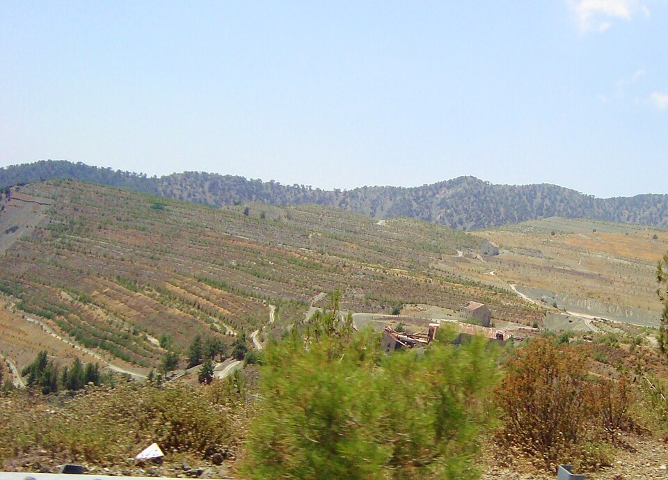 Cyprus — B2B and wholesale portals for local businesses