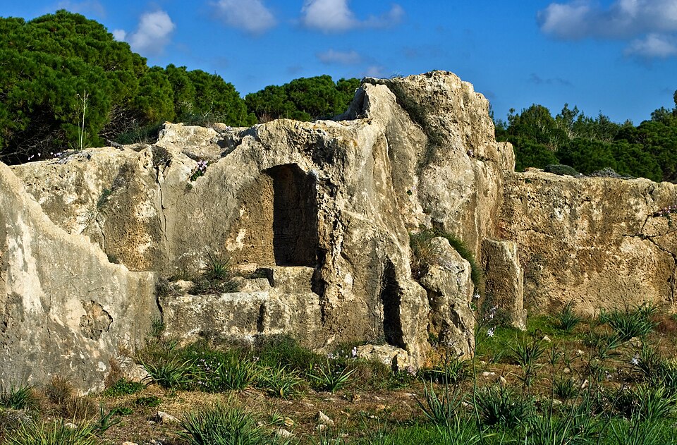 Paphos — B2B and wholesale portals for local businesses