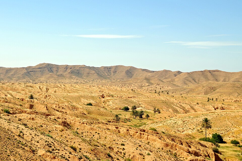 Tunisia — local market for service booking platforms