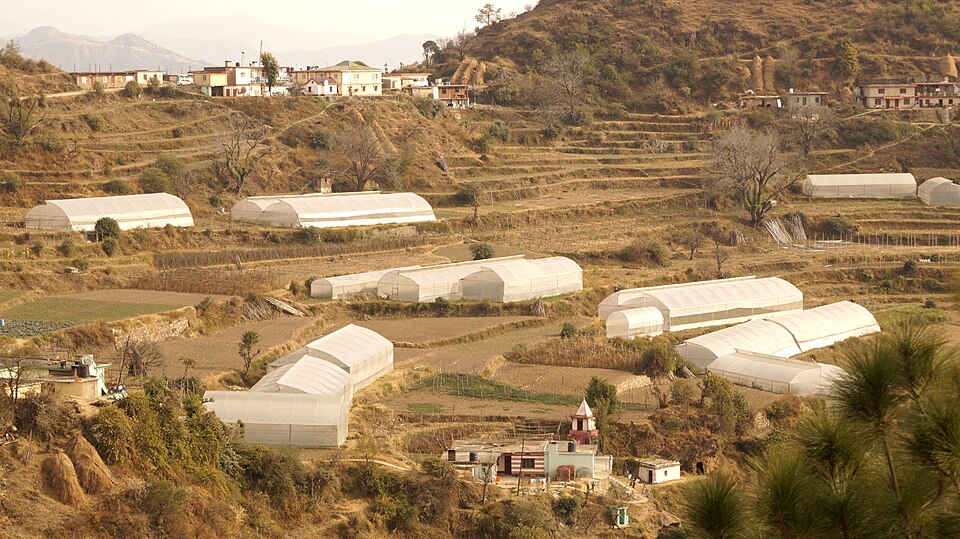 Solan — international and multi-region stores for local businesses