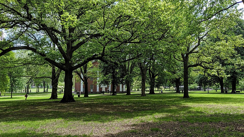 New Haven — online stores for local businesses