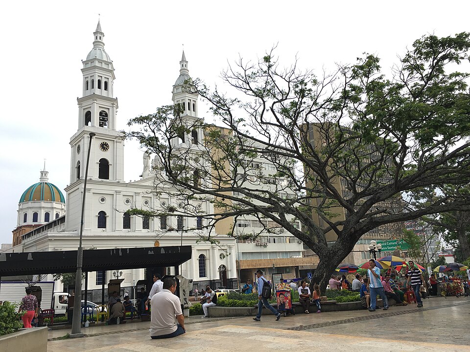 Bucaramanga — local market for custom e-commerce platforms