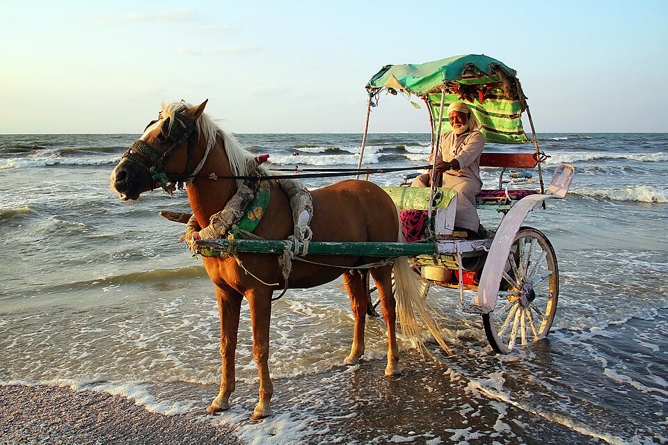 Port Said — manufacturer and distributor portals for local businesses