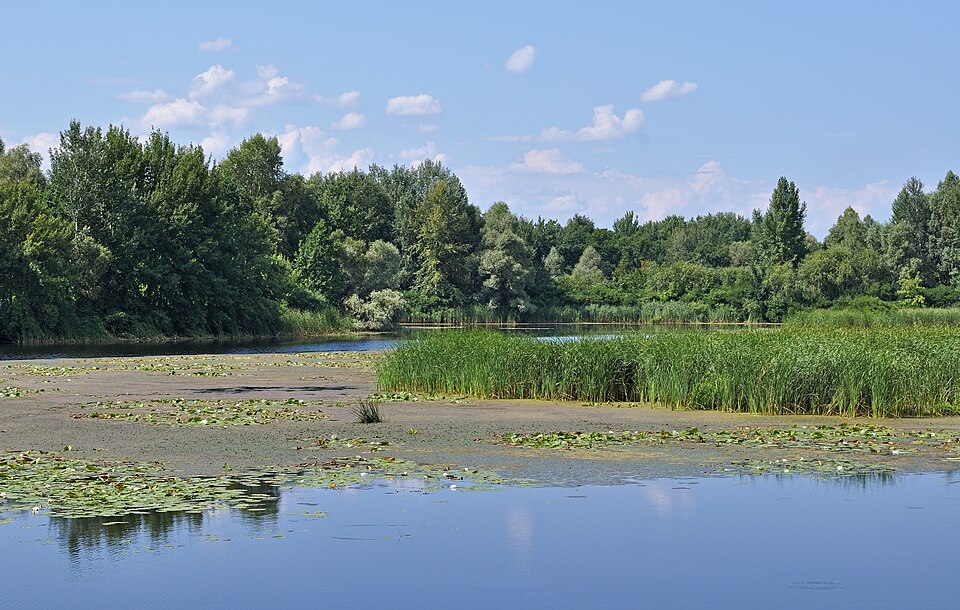 Dnipro — local market for multi-vendor marketplaces