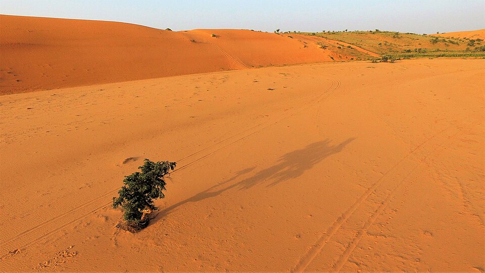 Niamey — international and multi-region stores for local businesses