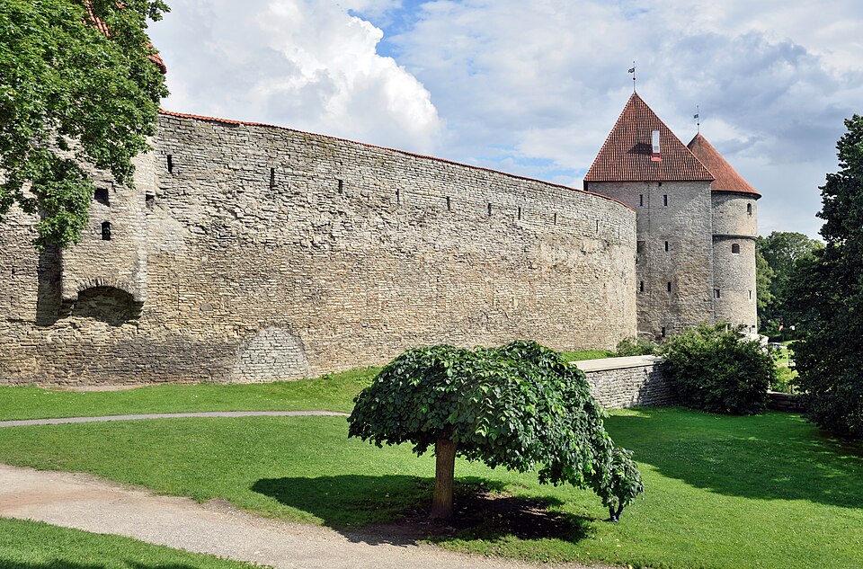 Tallinn — custom e-commerce platforms for local businesses