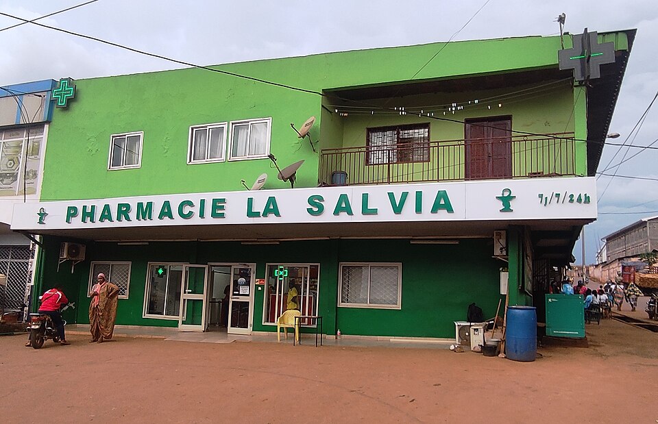 Bafoussam — local market for custom e-commerce platforms