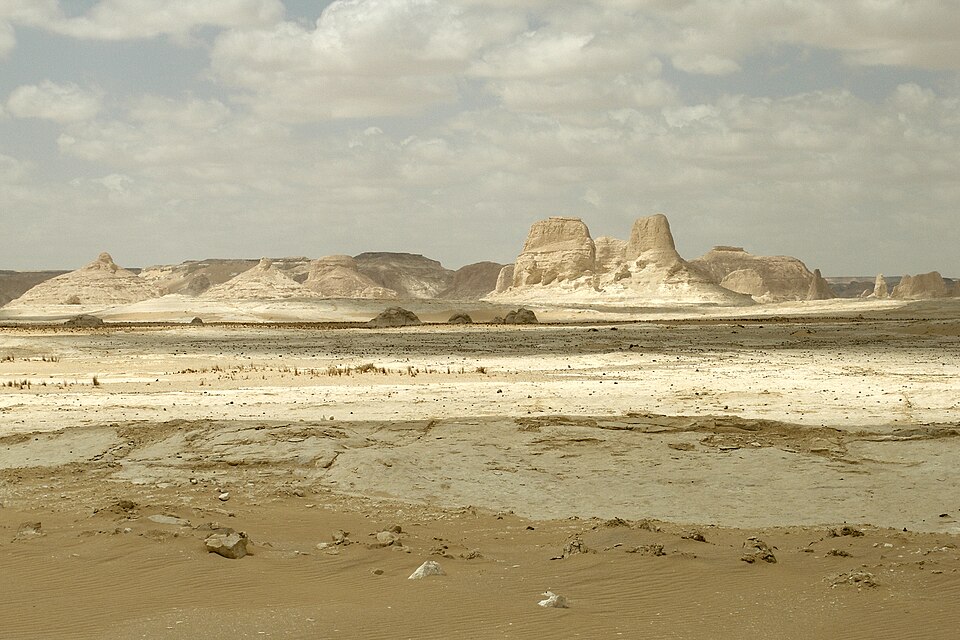 Egypt — B2B and wholesale portals for local businesses