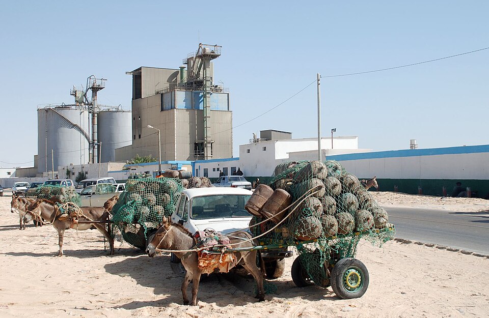 Nouadhibou — local market for manufacturer and distributor portals