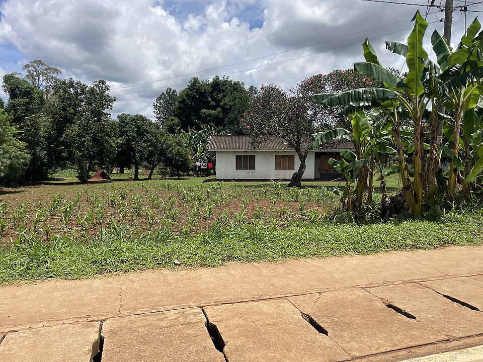Gulu — local market for mobile commerce apps
