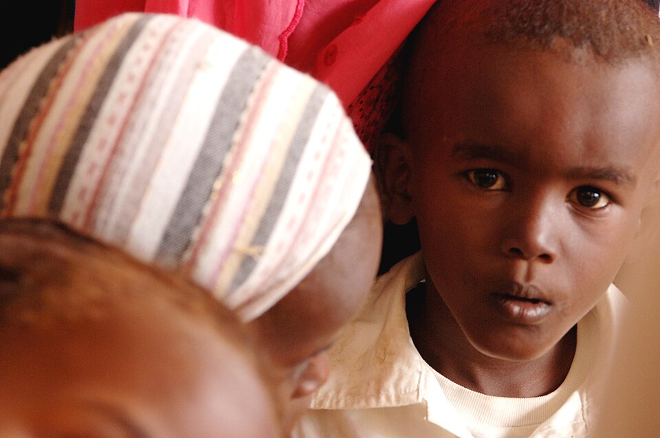 Djibouti — local market for international and multi-region stores