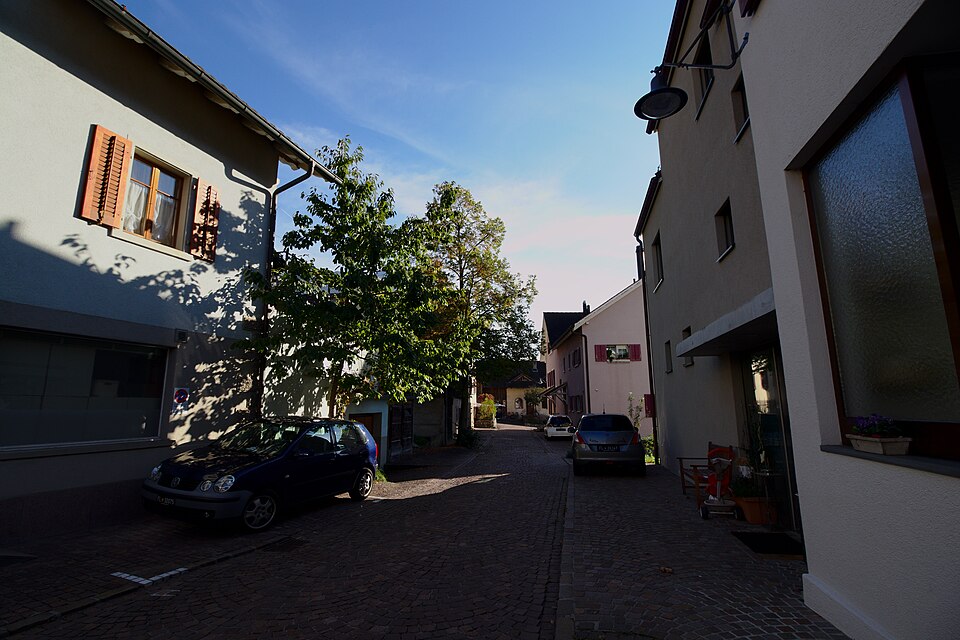 Triesen — local market for service booking platforms
