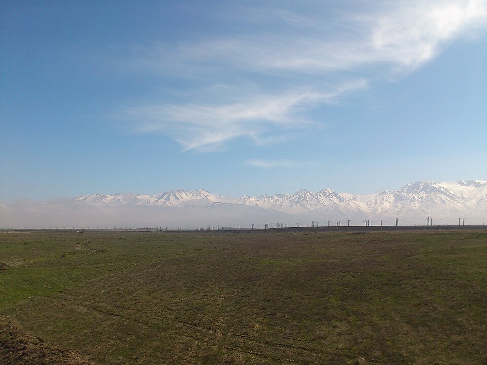 Kazakhstan — local market for subscription and membership platforms
