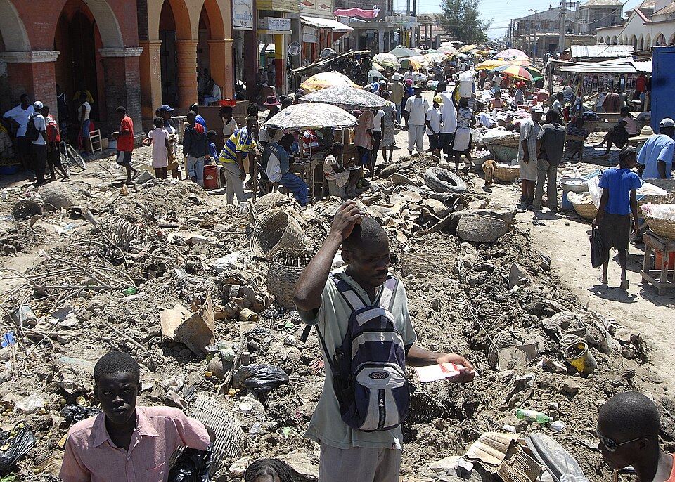 Gonaïves — local market for manufacturer and distributor portals