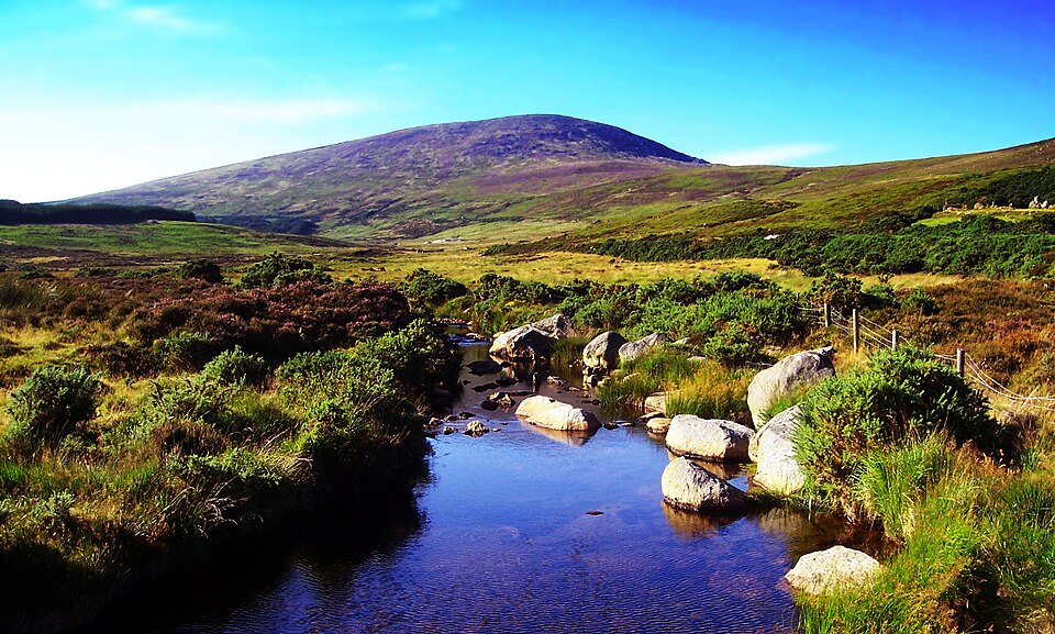 Ireland — B2B and wholesale portals for local businesses