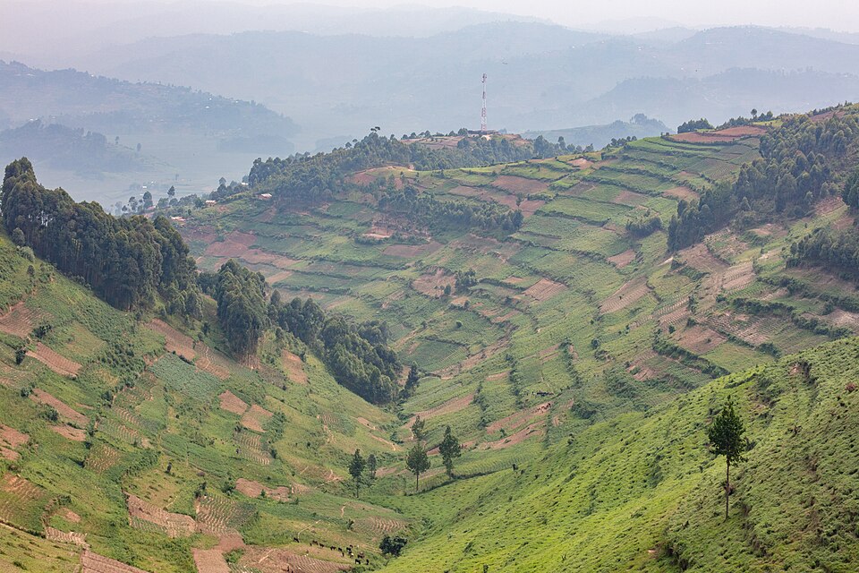 Uganda — local market for online stores
