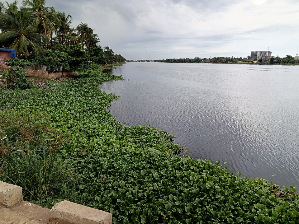 Lomé — B2B and wholesale portals for local businesses