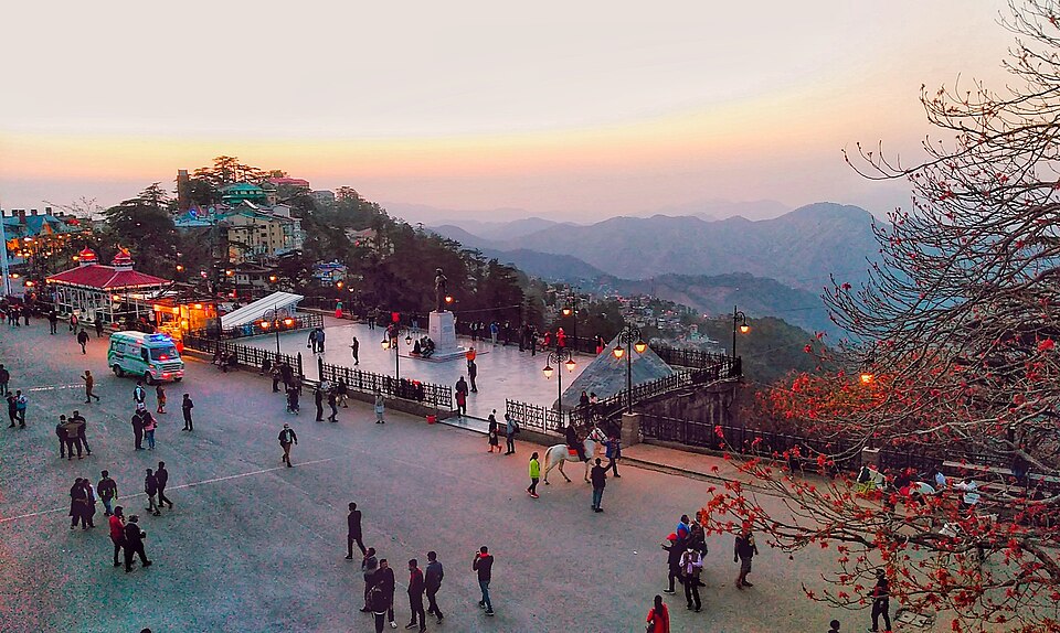 Shimla — subscription and membership platforms for local businesses
