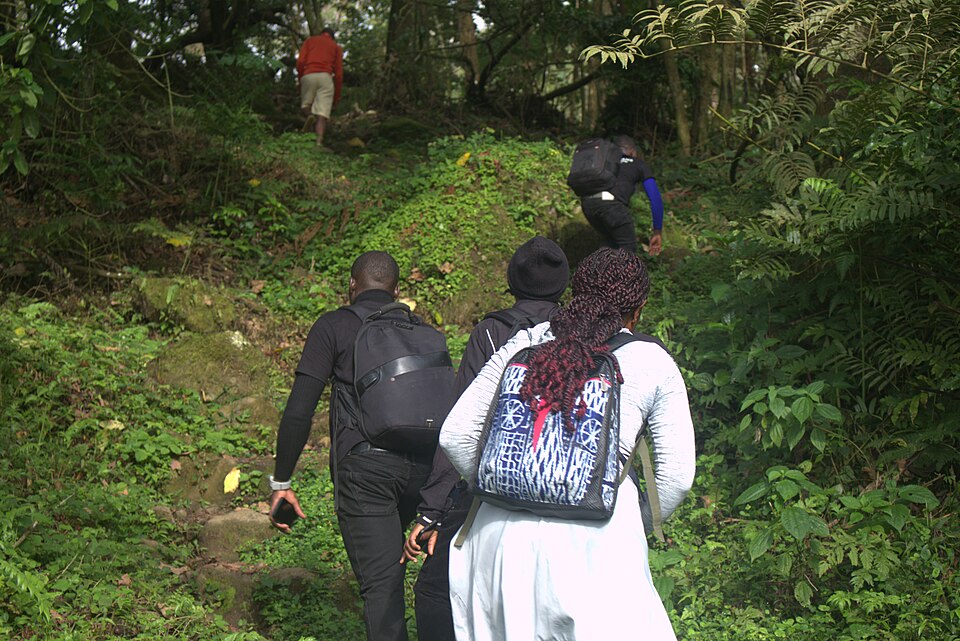 Cameroon — local market for mobile commerce apps