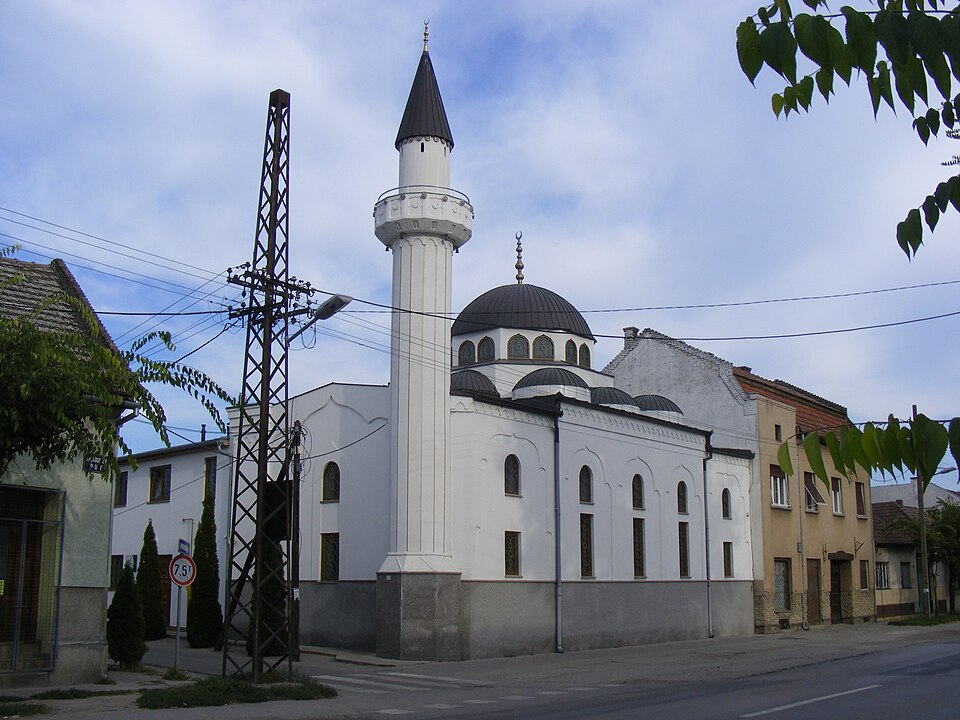 Subotica — local market for subscription and membership platforms