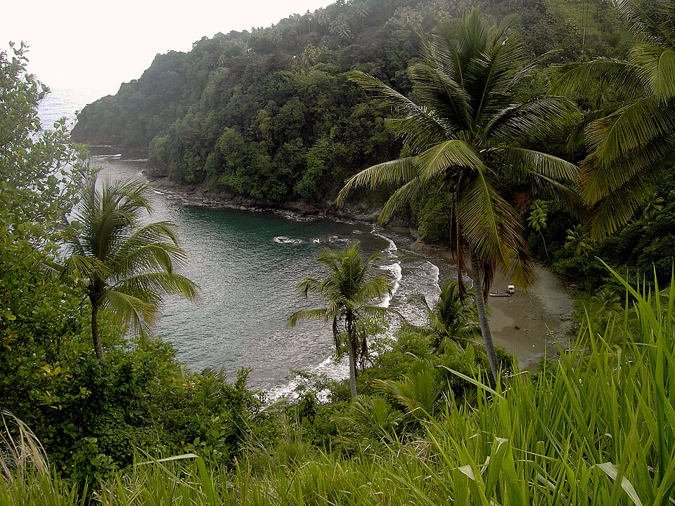 Dominica — local market for custom e-commerce platforms