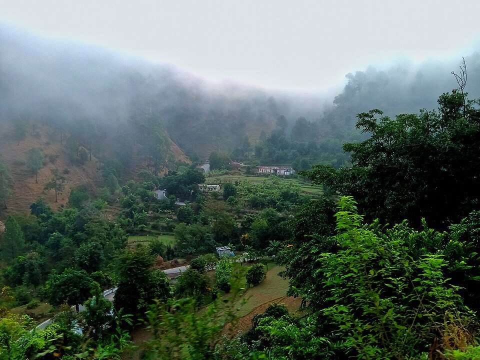 Bageshwar — international and multi-region stores for local businesses