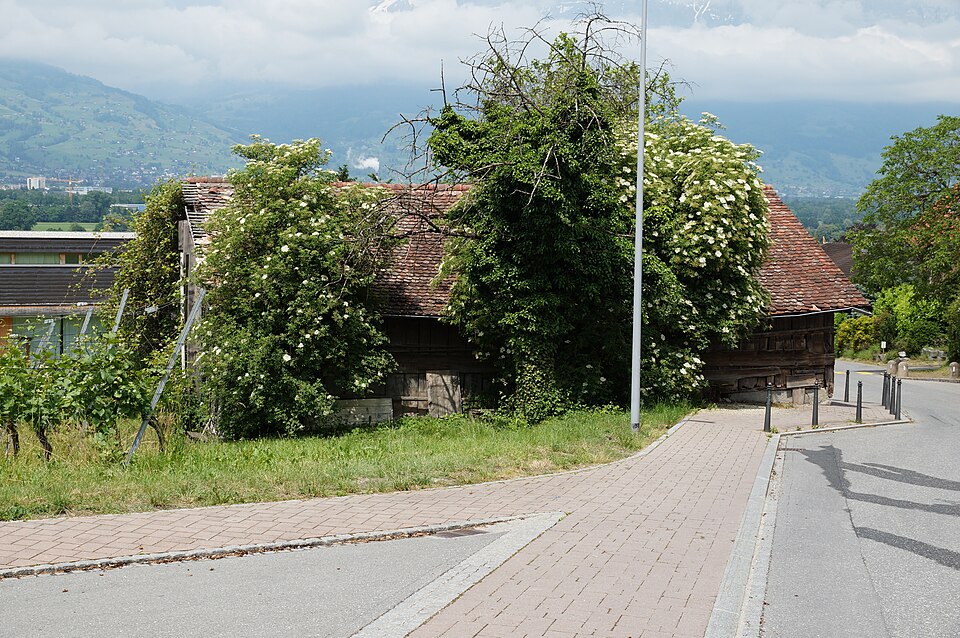 Schaan — B2B and wholesale portals for local businesses