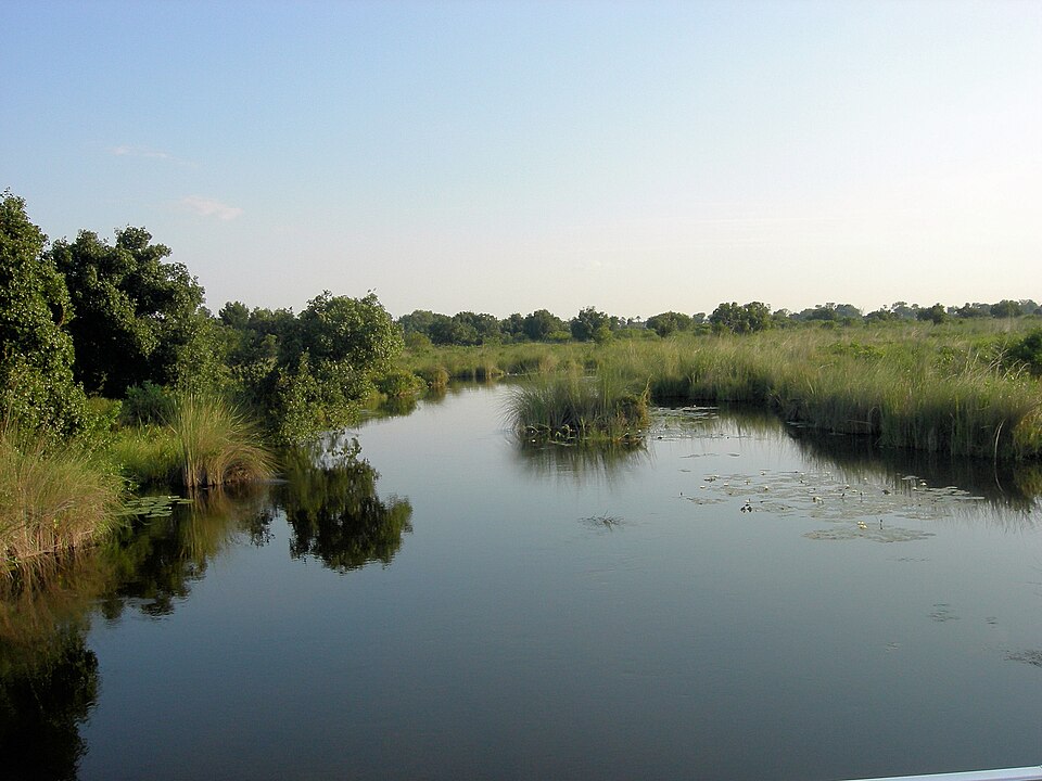 Botswana — local market for custom e-commerce platforms