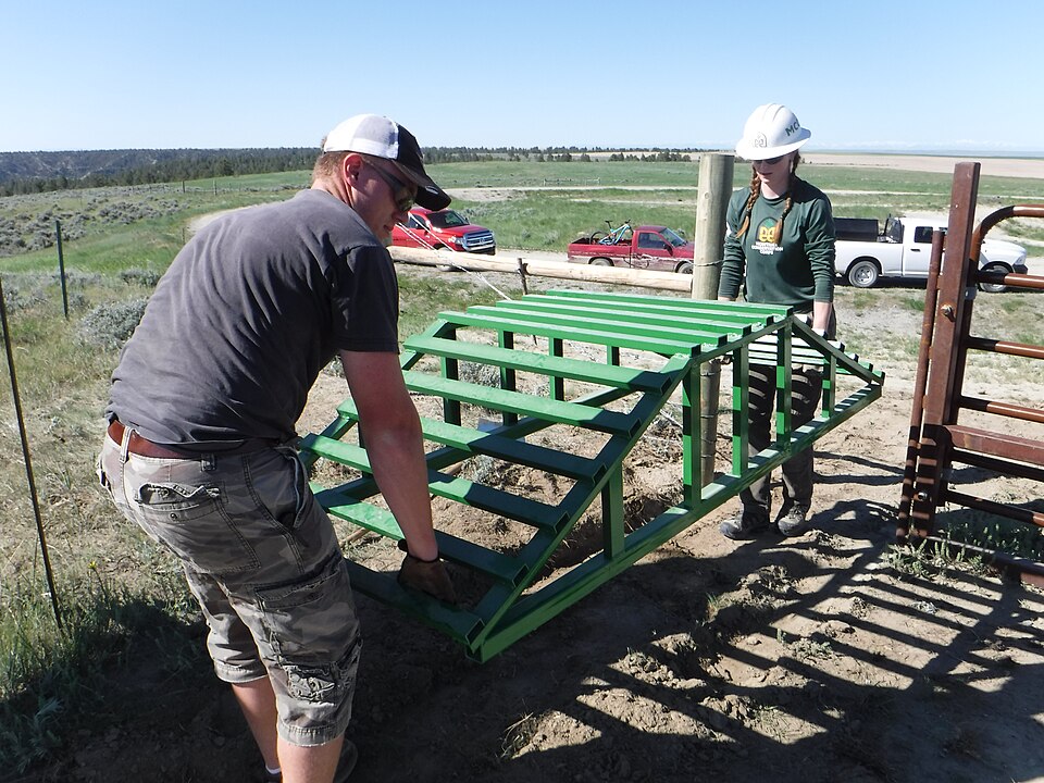 Billings — international and multi-region stores for local businesses