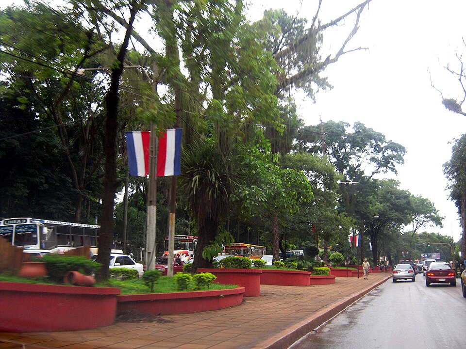 Ciudad del Este — local market for international and multi-region stores