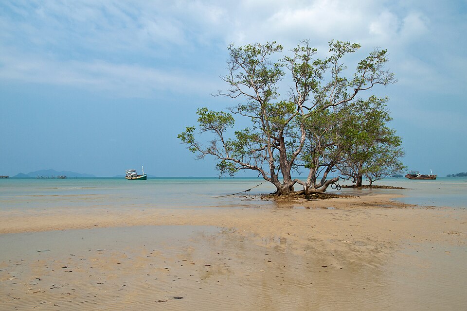 Thailand — local market for multi-vendor marketplaces