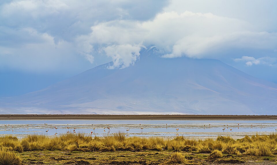 Bolivia — local market for mobile commerce apps