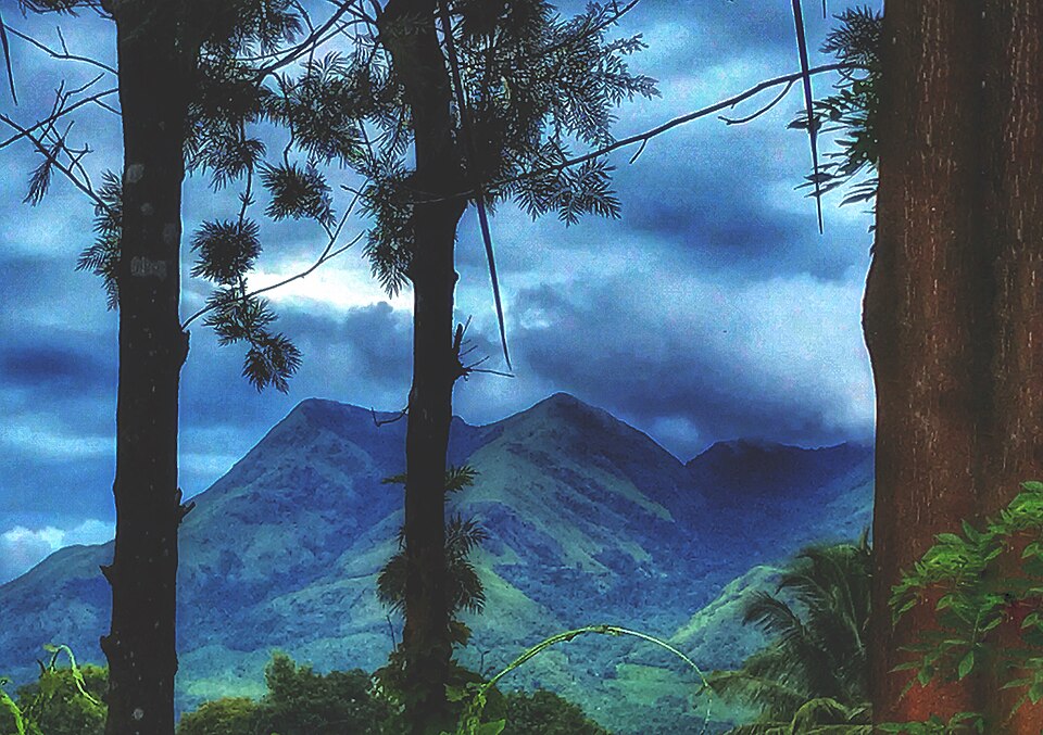 Kalpetta (Wayanad) — local market for subscription and membership platforms
